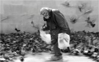 402 - LE SOIGNEUR DE PIGEONS - BACLE JEAN CLAUDE - france <div